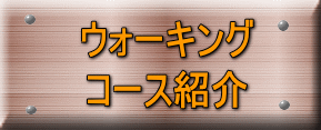 ウォーキング コース紹介